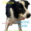 CHARLIE